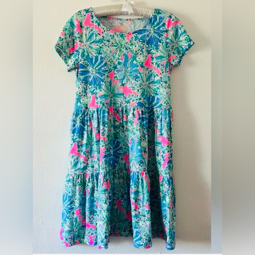Lilly Pulitzer Geanna Short Sleeve Dress Soleil Pink Good Hair Day L NWOt